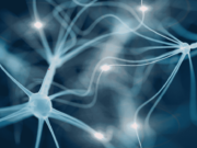 Evidence-Based Coaching: How Science Can Improve Practice